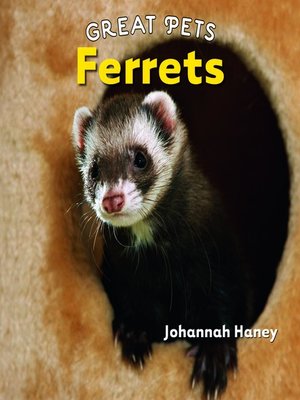 cover image of Ferrets